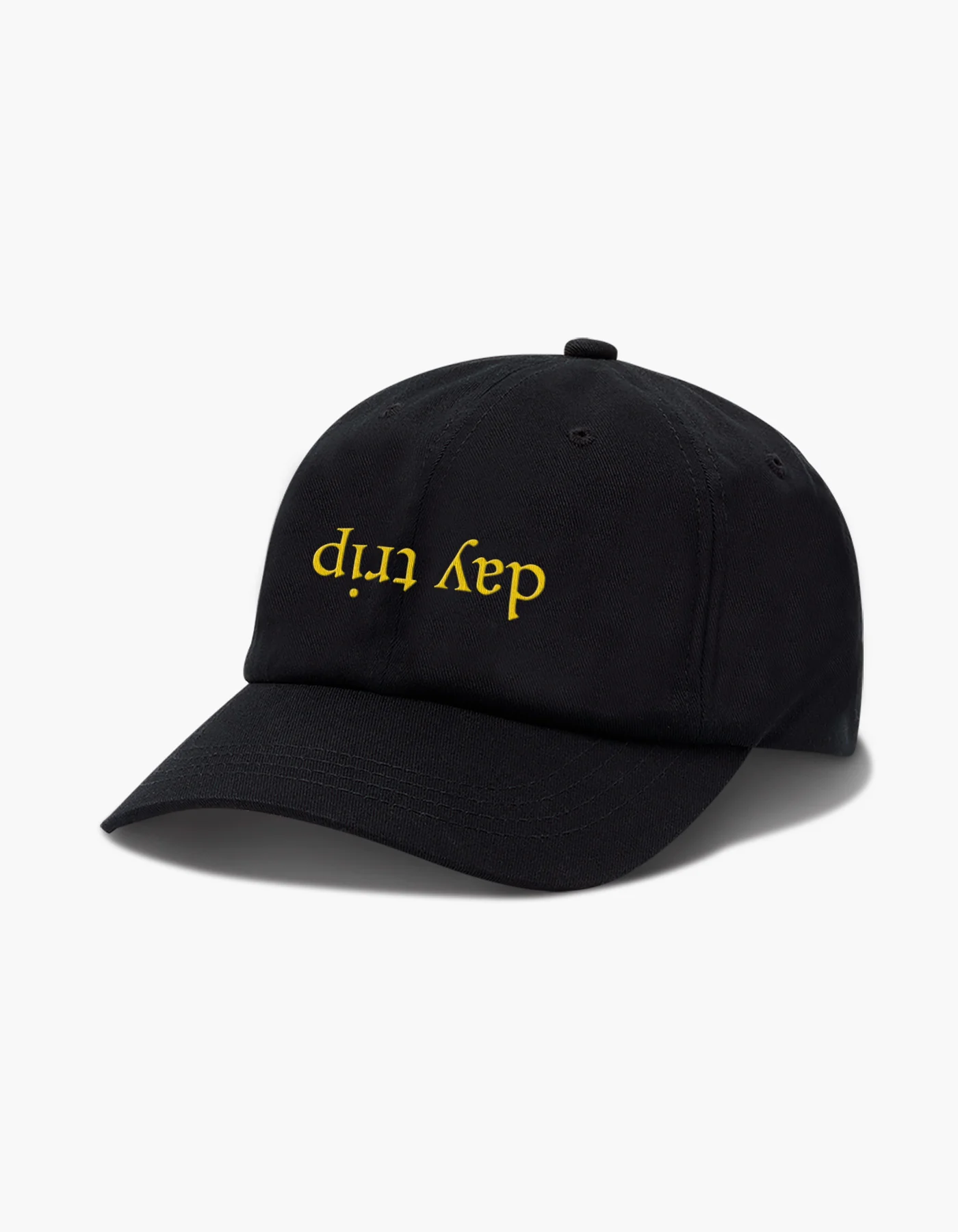 Day Trip Reflect Dad Hat