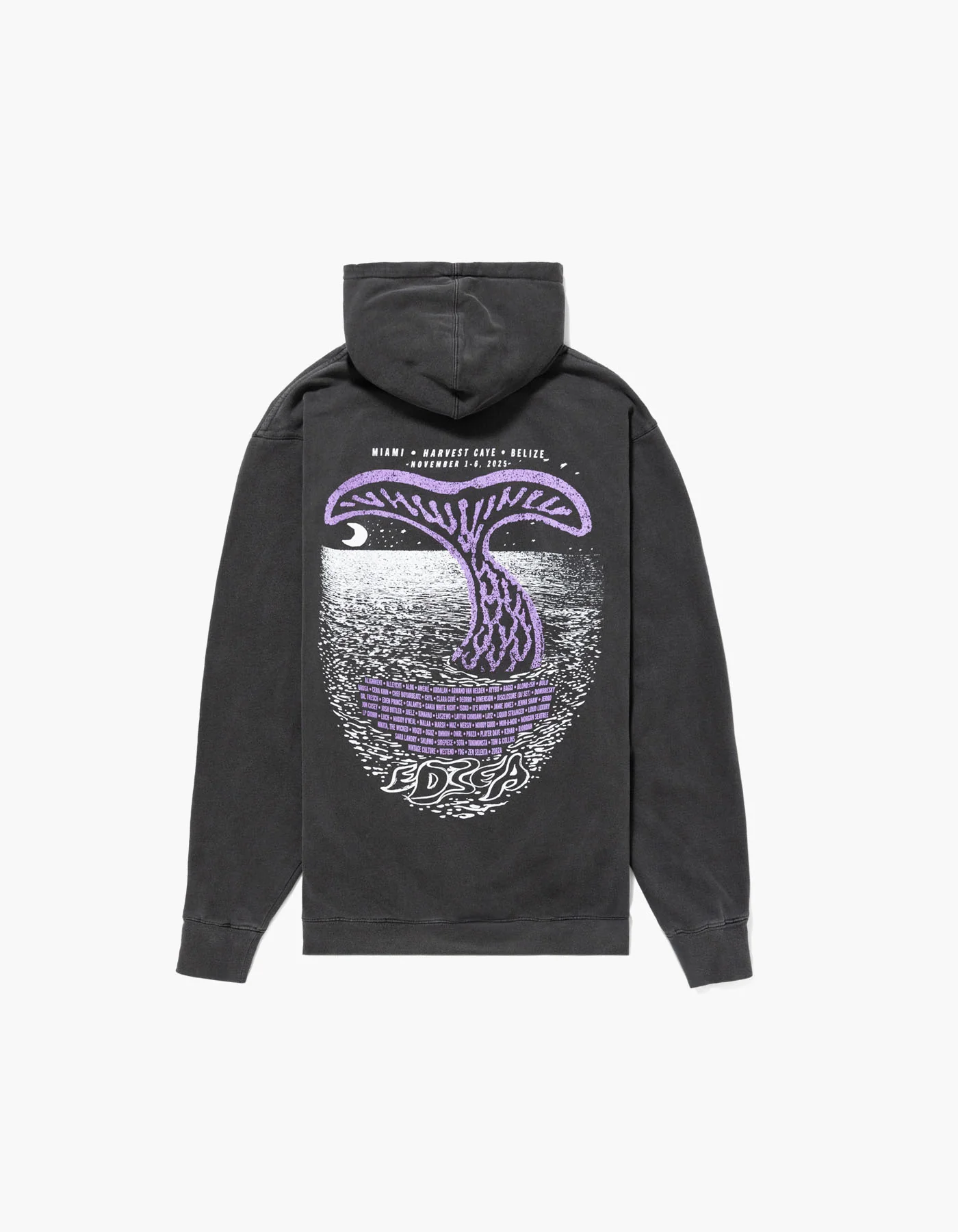 EDSea Stars 2025 Lineup Hoodie - Image 2